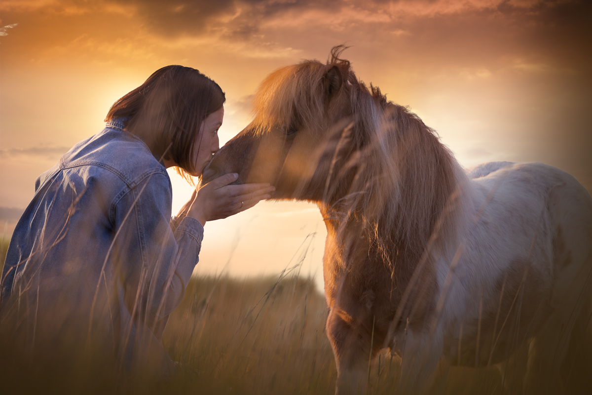 seance photo poney cavaliere coucher de soleil golden hour