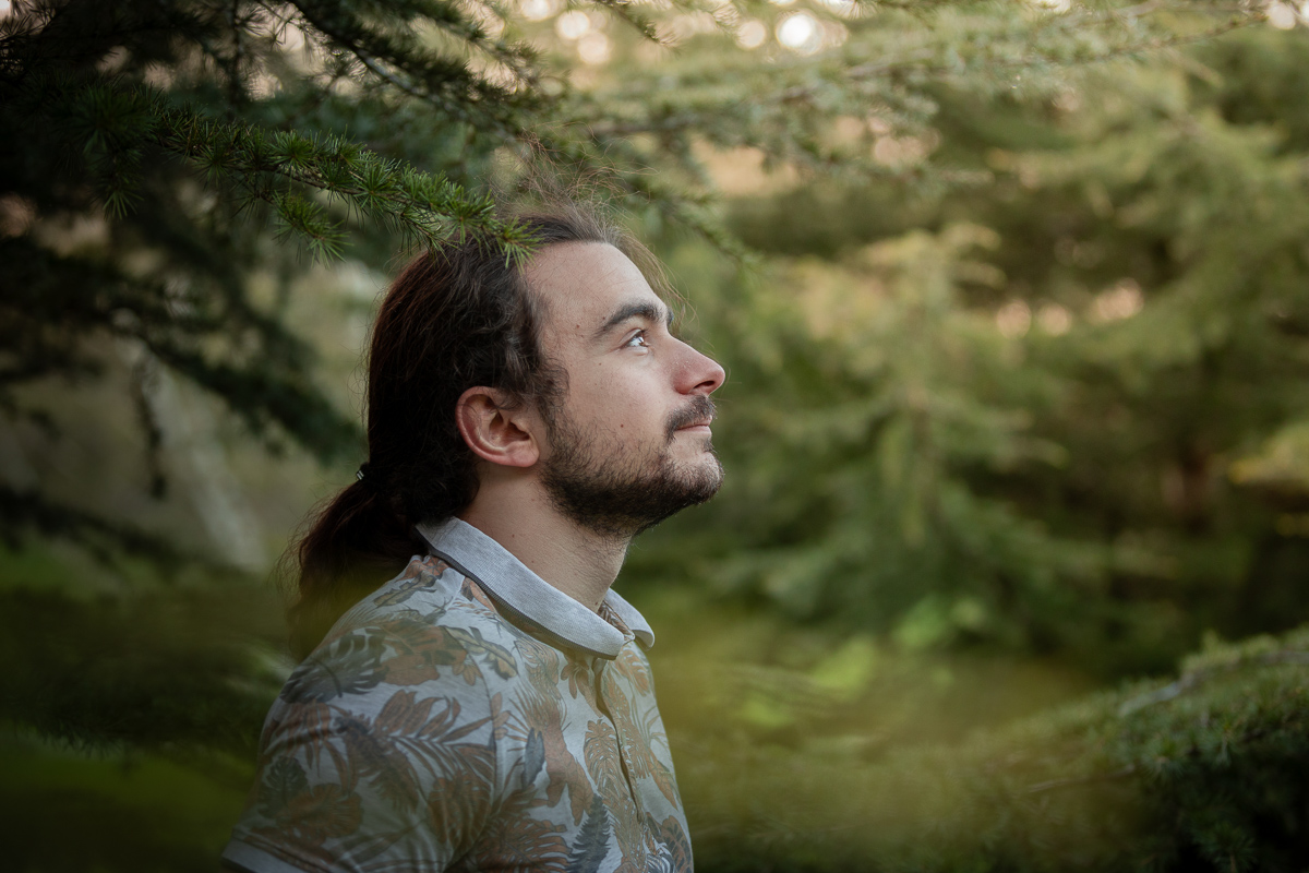 portrait couche de soleil shooting photo arbre pin