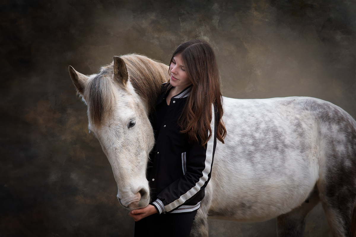 seance photo cheval fond marbre brun seance photo pro