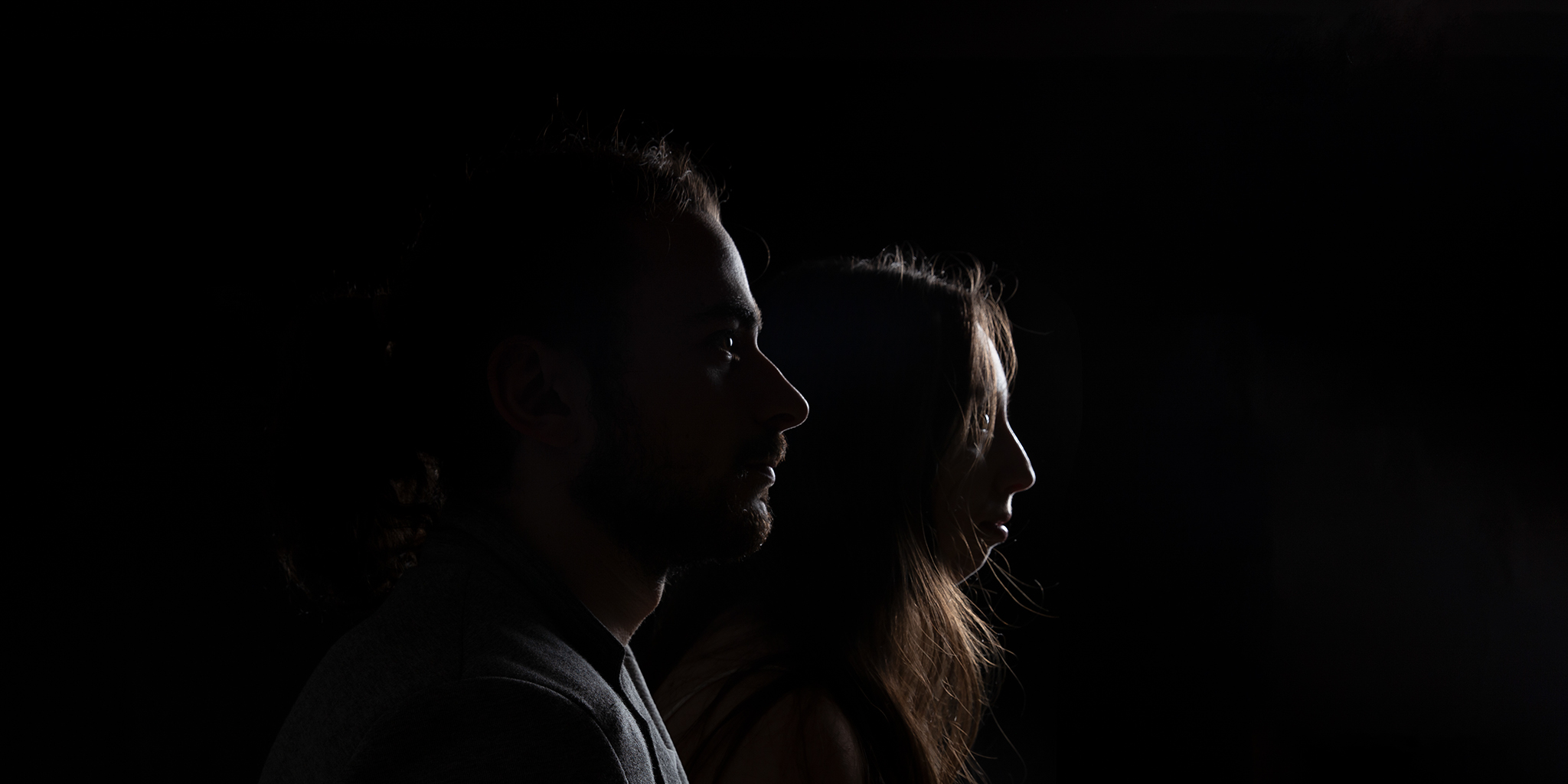 cheval champ de lavande