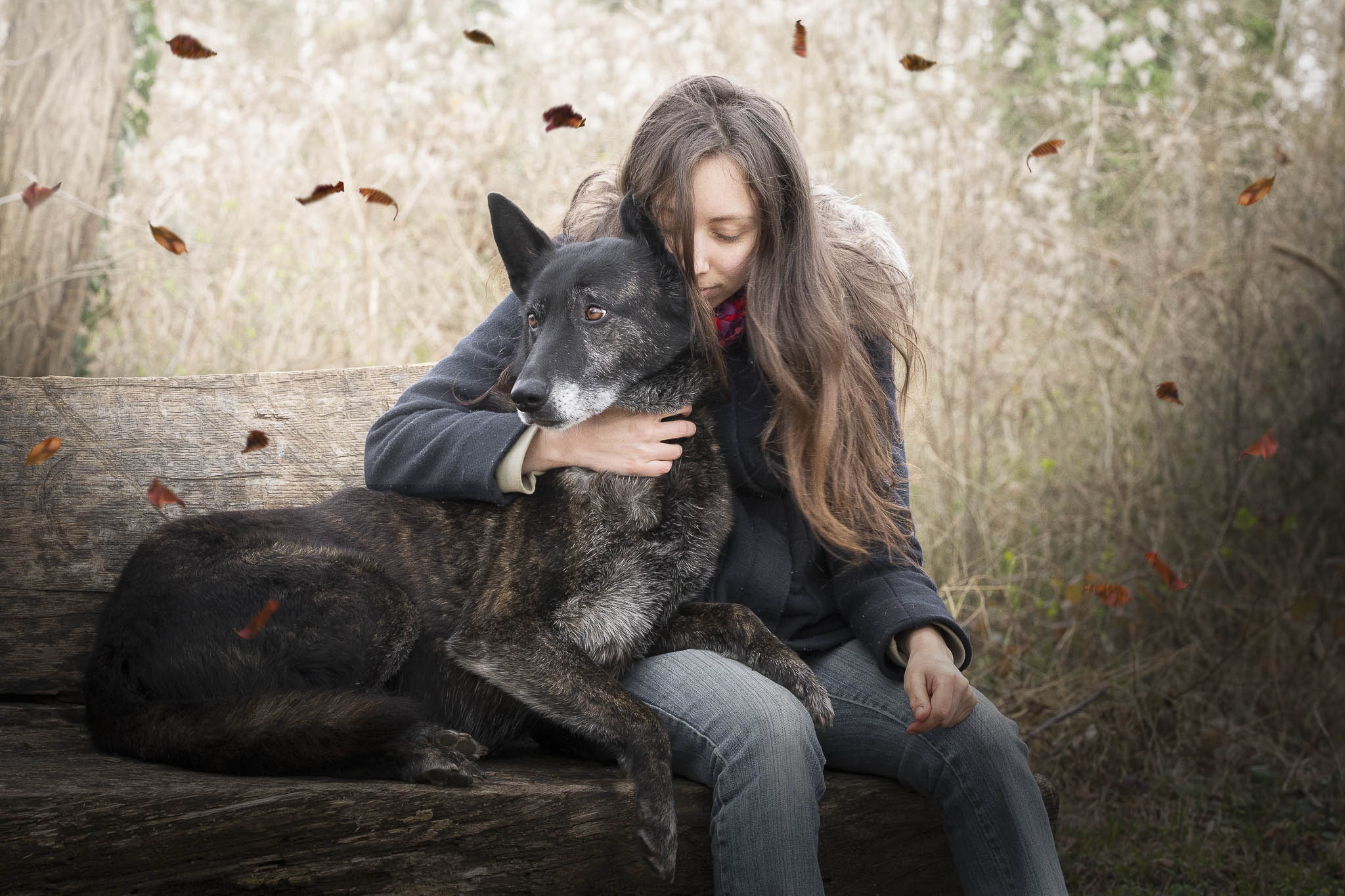 Photographe animalier, animaux, chien