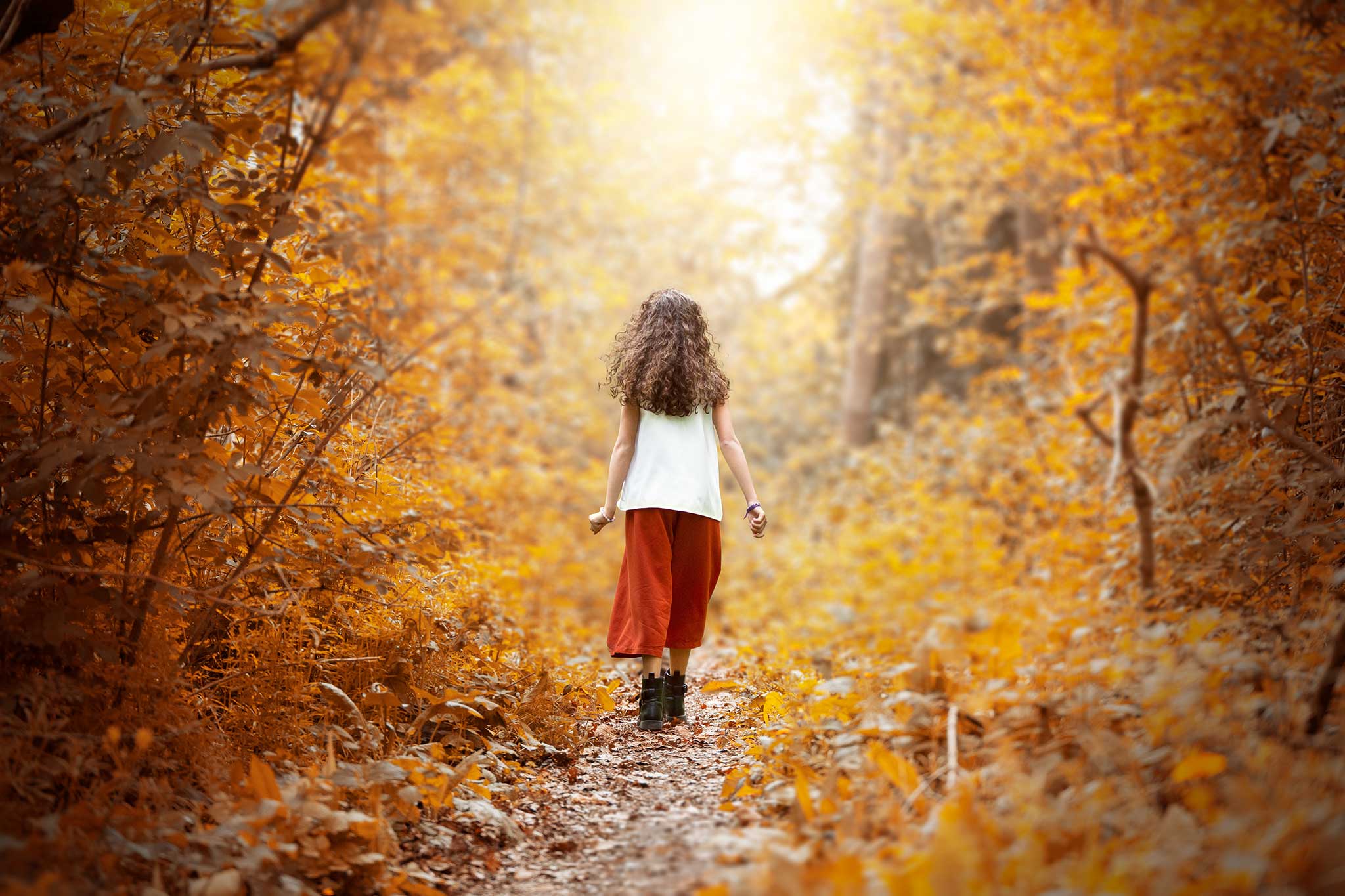 promenade foret photographe pro automne