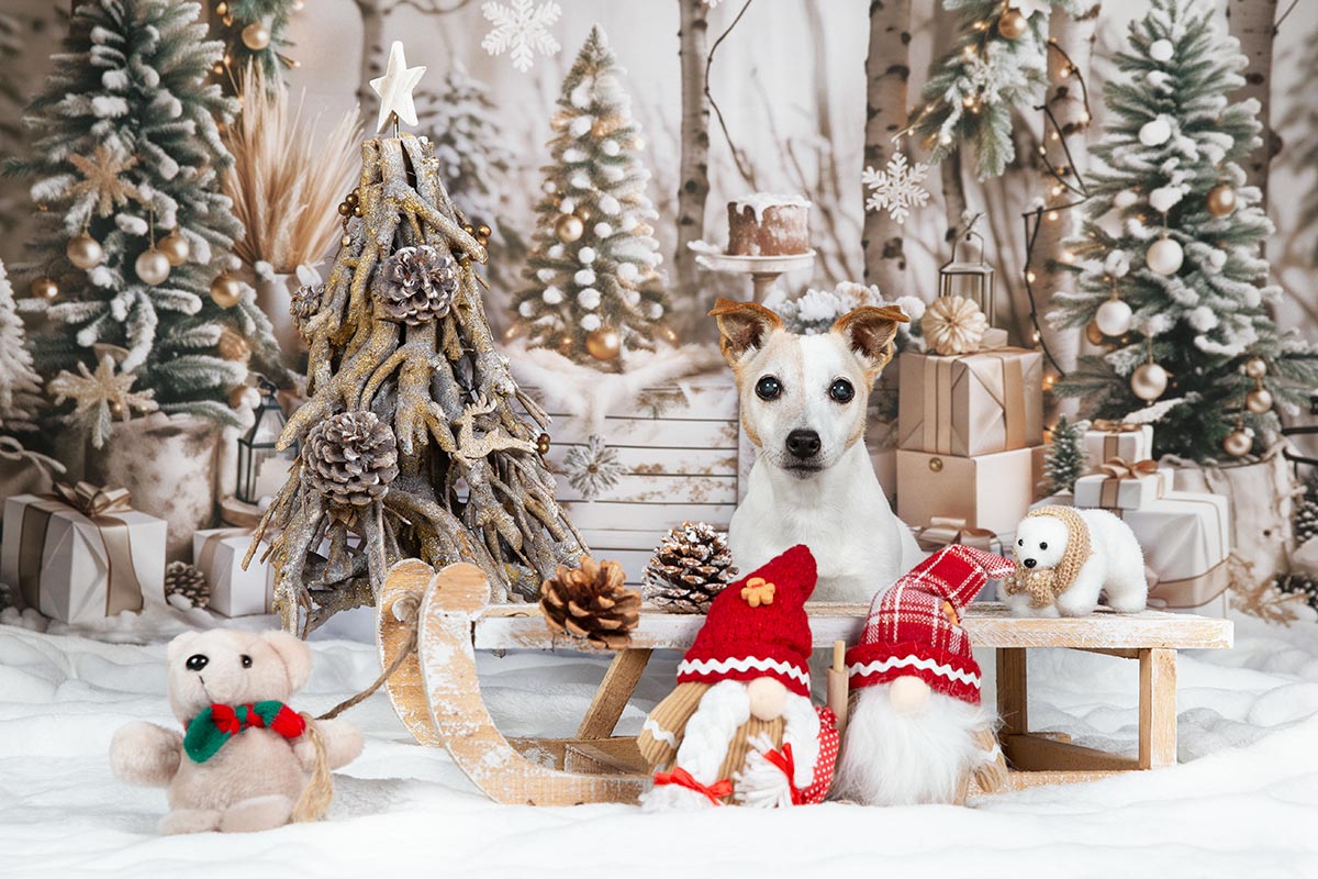 affiche marche de noel de rouville