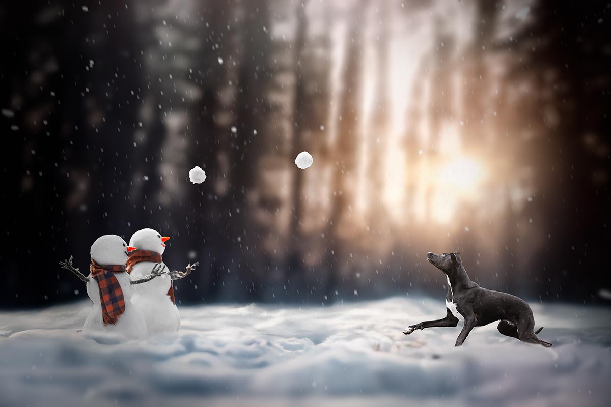 Seance photo hiver fun montage drole formation photo retouche