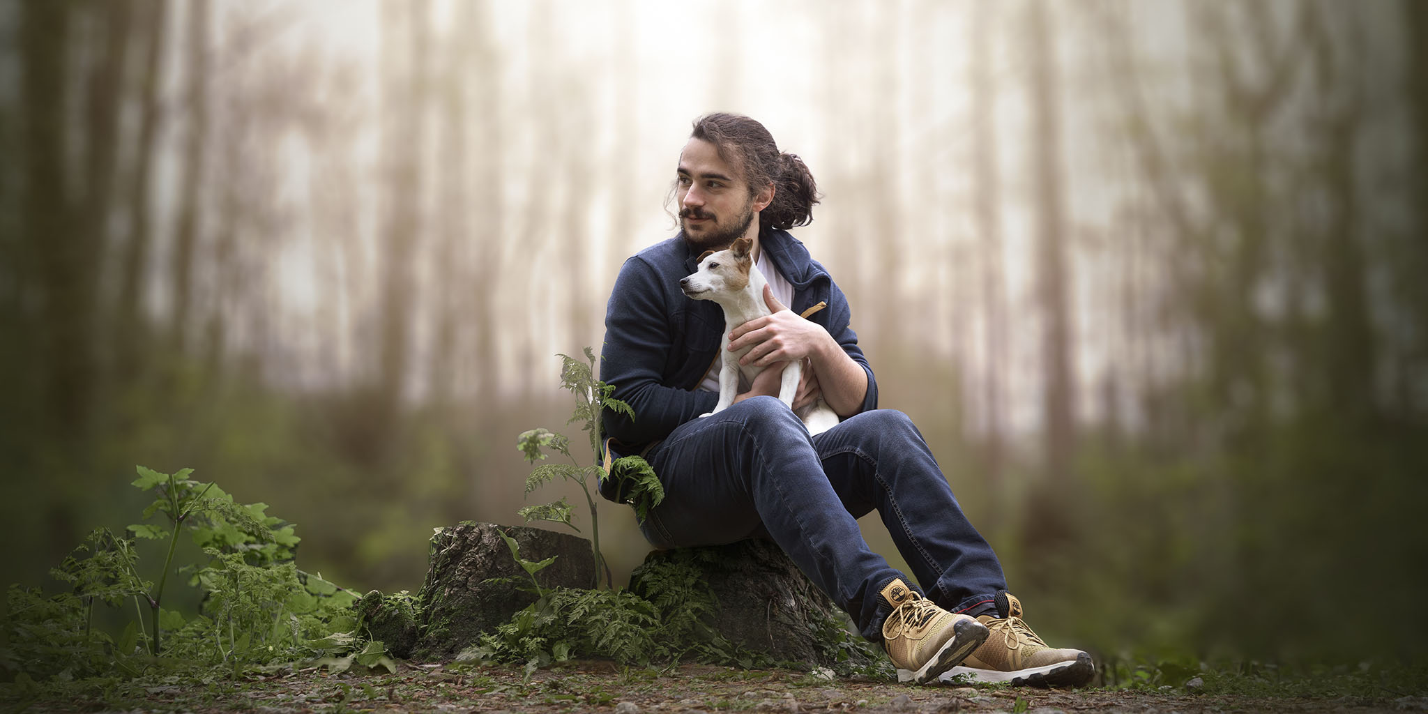 Chien jack russel shooting photo en foret