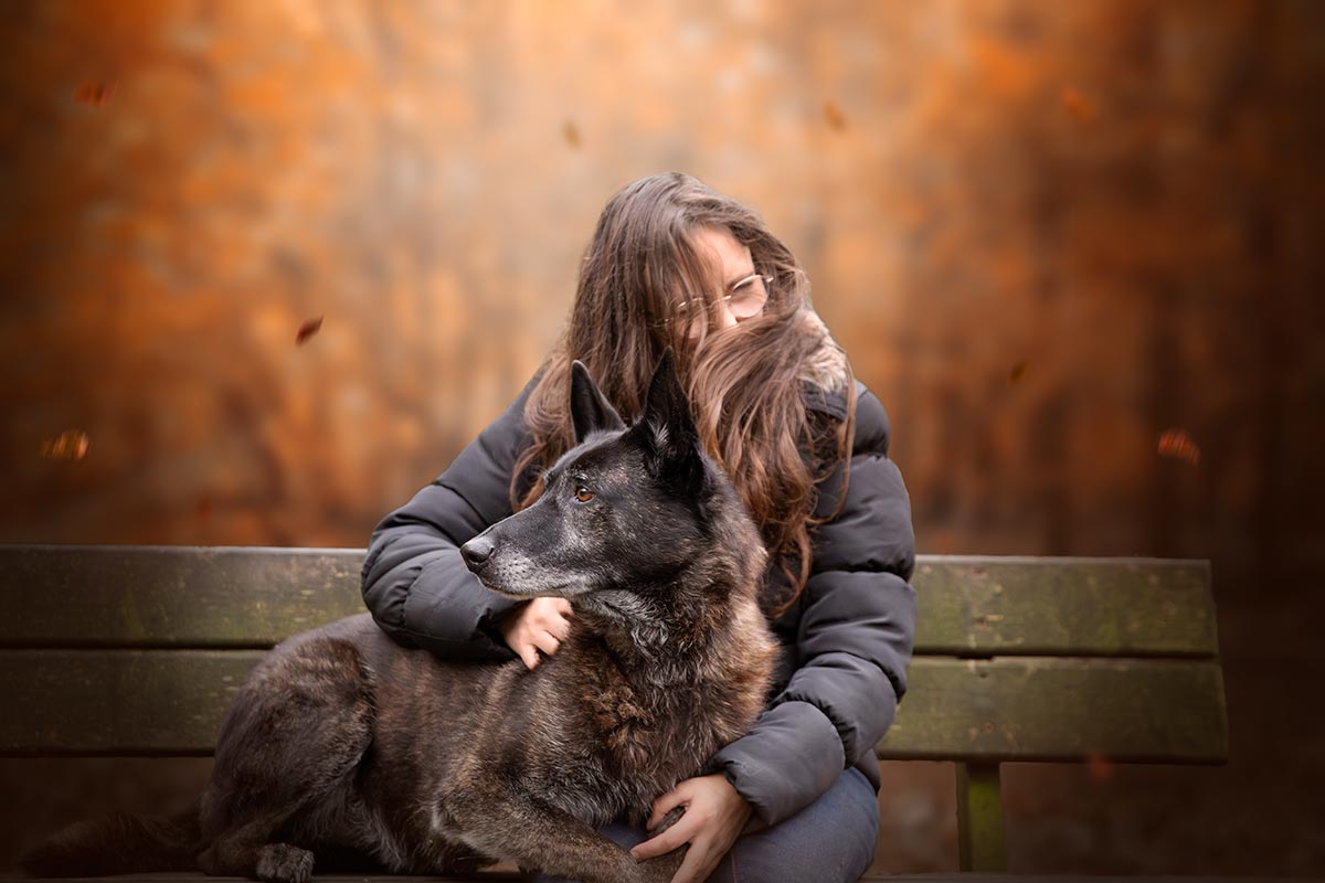 Seance photo chien berger hollandais automne