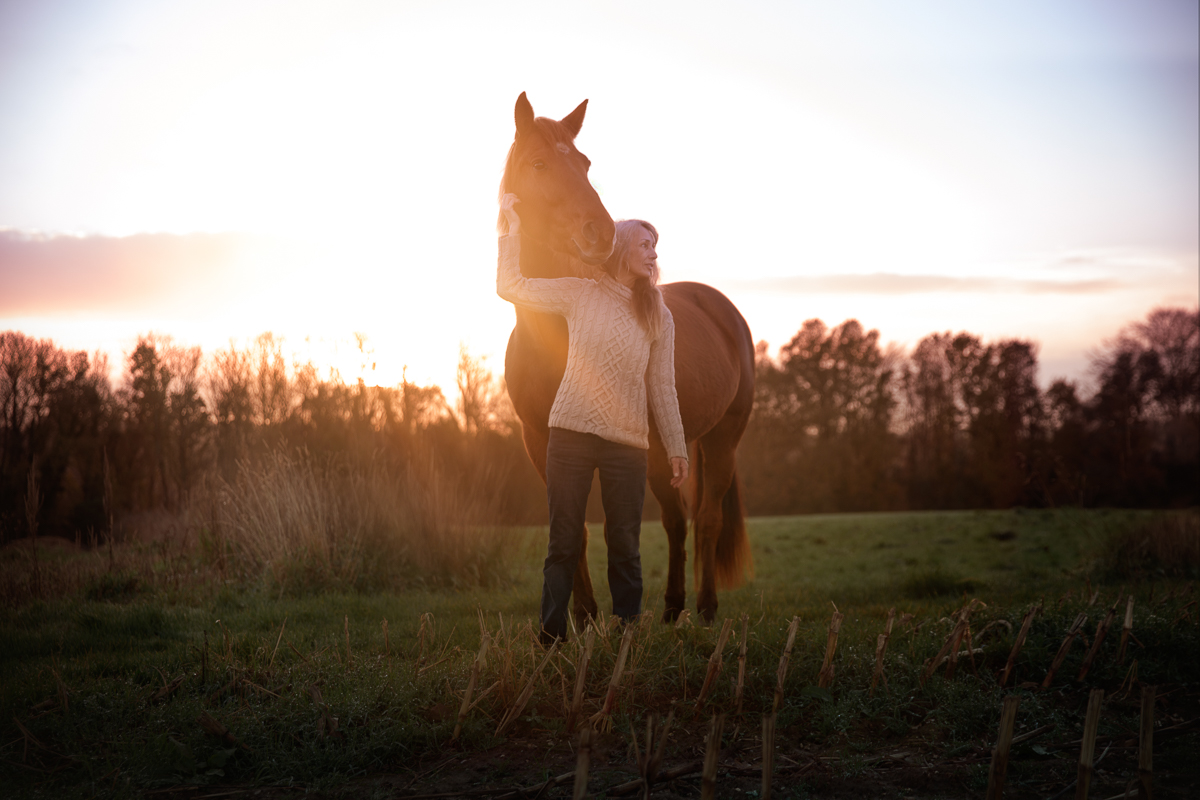 Seance photo jument cheval alezan photographe aimalier
