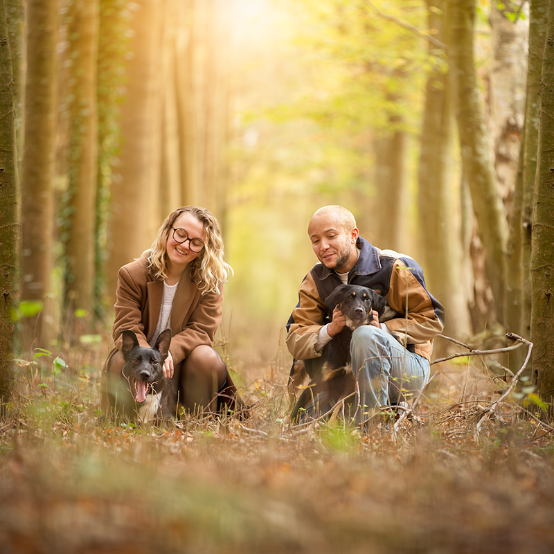 couple séance photo forêt