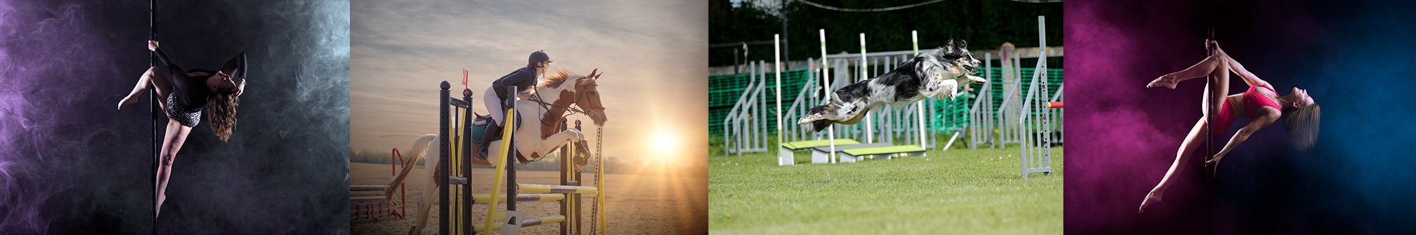 photos professionnelles evenements ecoles de gym concours equitation agility