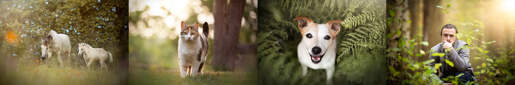 exemple photos forfaits en exterieurs photographe famille animaux